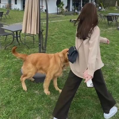 桃花源怪谈